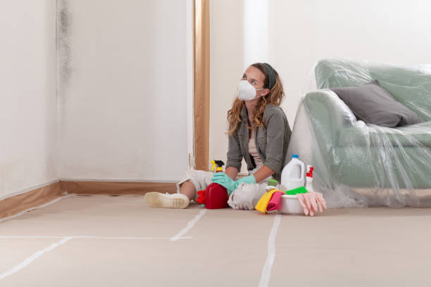 Reliable Crawl Space Mold Removal contractor in Clarksville, MD by WQB Mold Removal